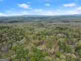 3050 Burt Creek Road - Photo 64