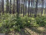 52 Hidden Lake Trail - Photo 51