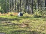 52 Hidden Lake Trail - Photo 53