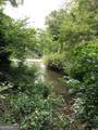 0 Gregg Shoals Drive - Photo 5