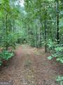 0 Gregg Shoals Drive - Photo 6