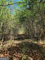 0 Mount Carmel Road - Photo 5
