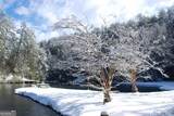 249 Spruce Creek Road - Photo 45