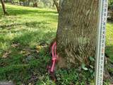 LOT 2 Preserve Road - Photo 22