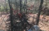 1248 Spaniard Point Road - Photo 46