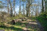 113 Lookout Circle - Photo 8