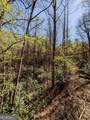 0 Crest Lane - Photo 5