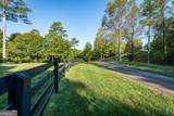 307 Meadowlands Drive - Photo 8