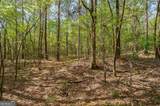 0 Skull Shoals Road - Photo 12