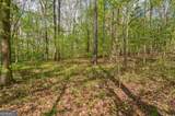 0 Skull Shoals Road - Photo 16