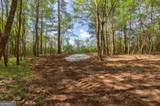 0 Skull Shoals Road - Photo 7