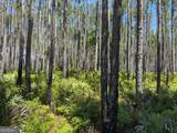 8.84 Strickland Road - Photo 13