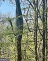 450 Wild Turkey Bluff - Photo 2