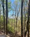 450 Wild Turkey Bluff - Photo 3