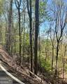 450 Wild Turkey Bluff - Photo 4