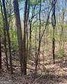 450 Wild Turkey Bluff - Photo 5
