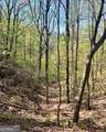 450 Wild Turkey Bluff - Photo 6