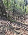 450 Wild Turkey Bluff - Photo 7