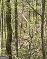 450 Wild Turkey Bluff - Photo 8