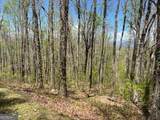 LOT 86 Rocky Knob Estate - Photo 6