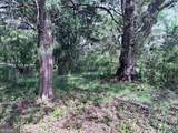 2616 Trion Teloga Road - Photo 17