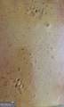 25 Idlewood Lane - Photo 96