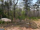 LT 129 Red Hawk Lane - Photo 4