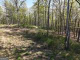 LT 20 Blalock Mountain Road - Photo 19