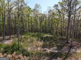 LT 20 Blalock Mountain Road - Photo 8
