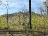 0 Stone Pile Gap Road - Photo 1