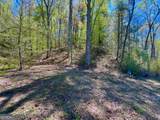 0 Stone Pile Gap Road - Photo 13