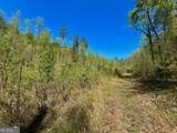 0 Stone Pile Gap Road - Photo 14
