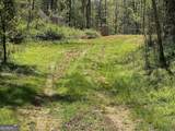 0 Stone Pile Gap Road - Photo 15