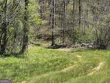0 Stone Pile Gap Road - Photo 16
