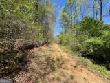 0 Stone Pile Gap Road - Photo 19