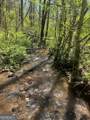 0 Stone Pile Gap Road - Photo 2