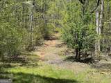 0 Stone Pile Gap Road - Photo 22