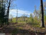 0 Stone Pile Gap Road - Photo 23