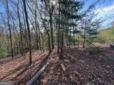 0 Stone Pile Gap Road - Photo 4