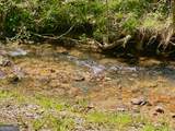 0 Stone Pile Gap Road - Photo 7