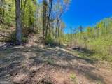 0 Stone Pile Gap Road - Photo 9