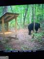5057 State Line Road - Photo 15