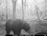 5057 State Line Road - Photo 16