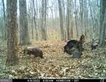 5057 State Line Road - Photo 17