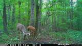 5057 State Line Road - Photo 18