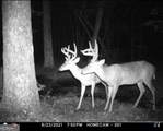 5057 State Line Road - Photo 19