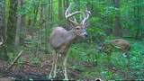 5057 State Line Road - Photo 20