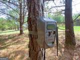 5057 State Line Road - Photo 32