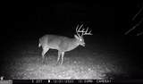 5057 State Line Road - Photo 42