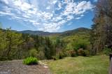 306 Pig Trail - Photo 14